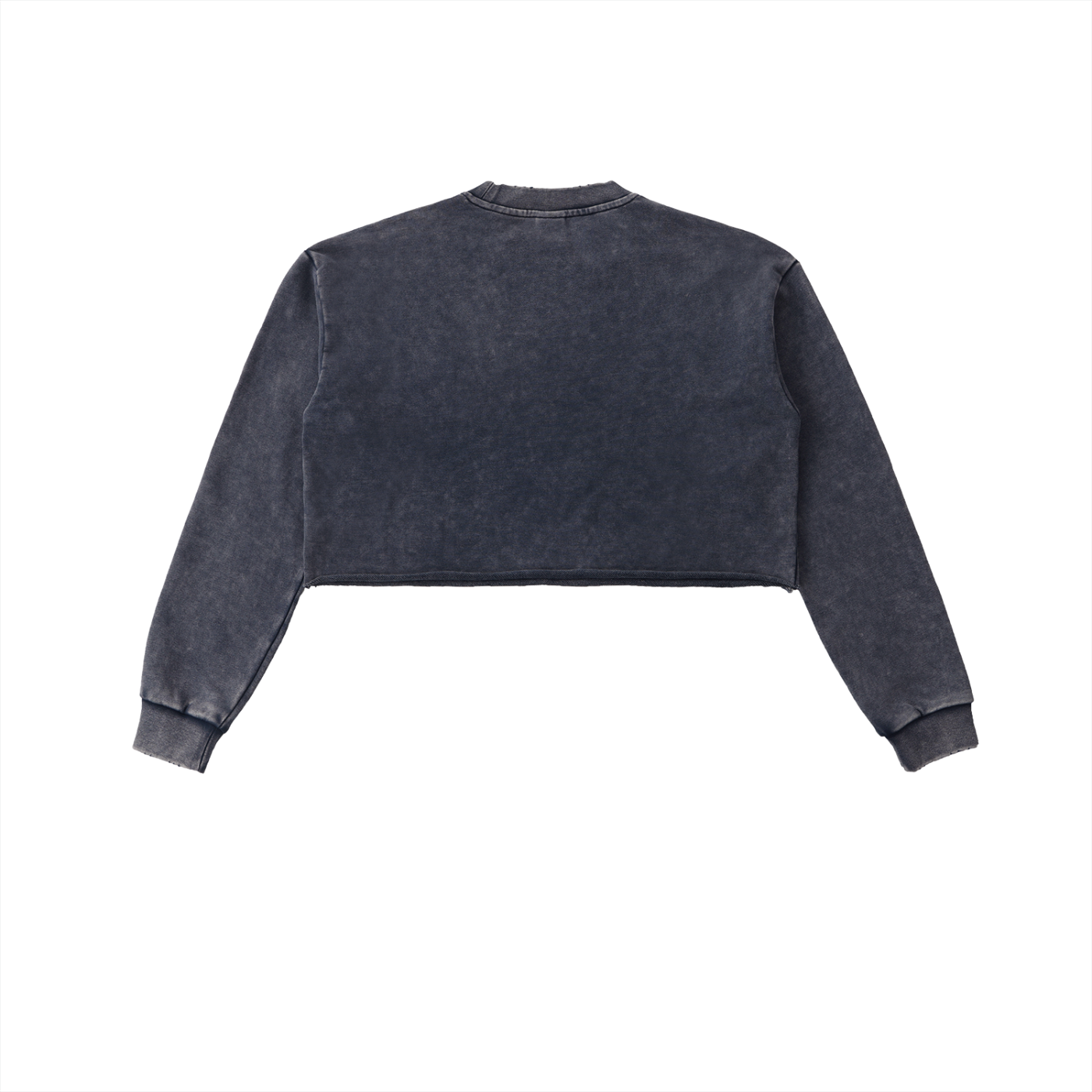 Snow Wash Raw-Edge Crop Sweatshirt