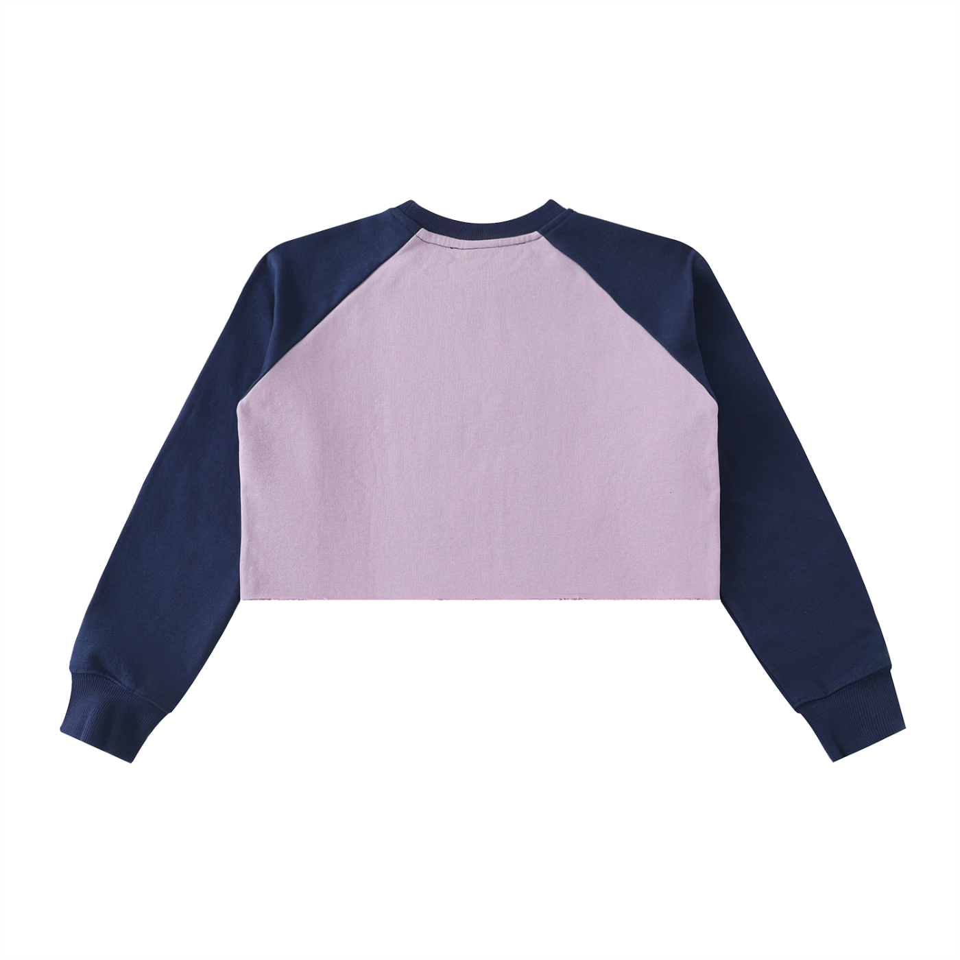 Color-Block Raglan Crop Sweatshirt