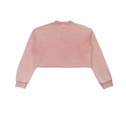Snow Wash Raw-Edge Crop Sweatshirt