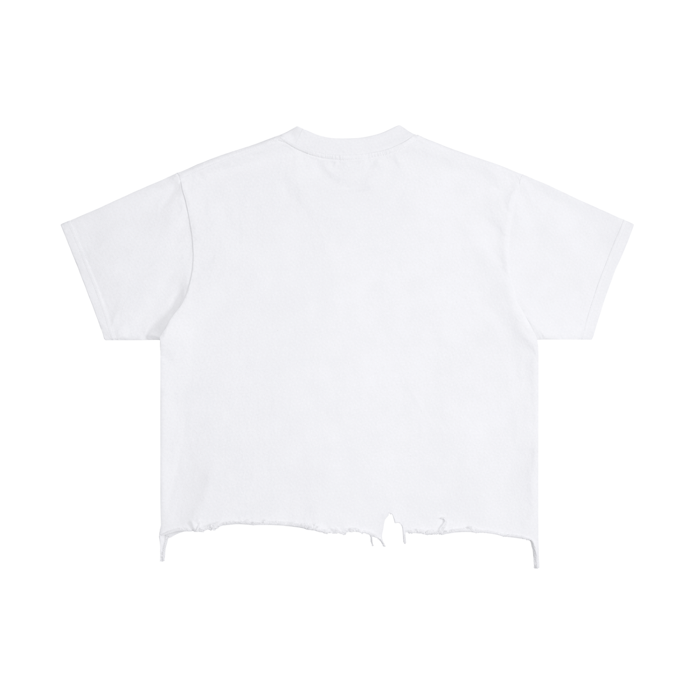 Vintage Wash Distressed Boxy Tee
