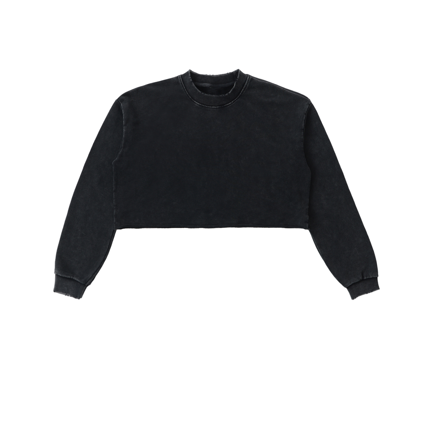 Snow Wash Raw-Edge Crop Sweatshirt