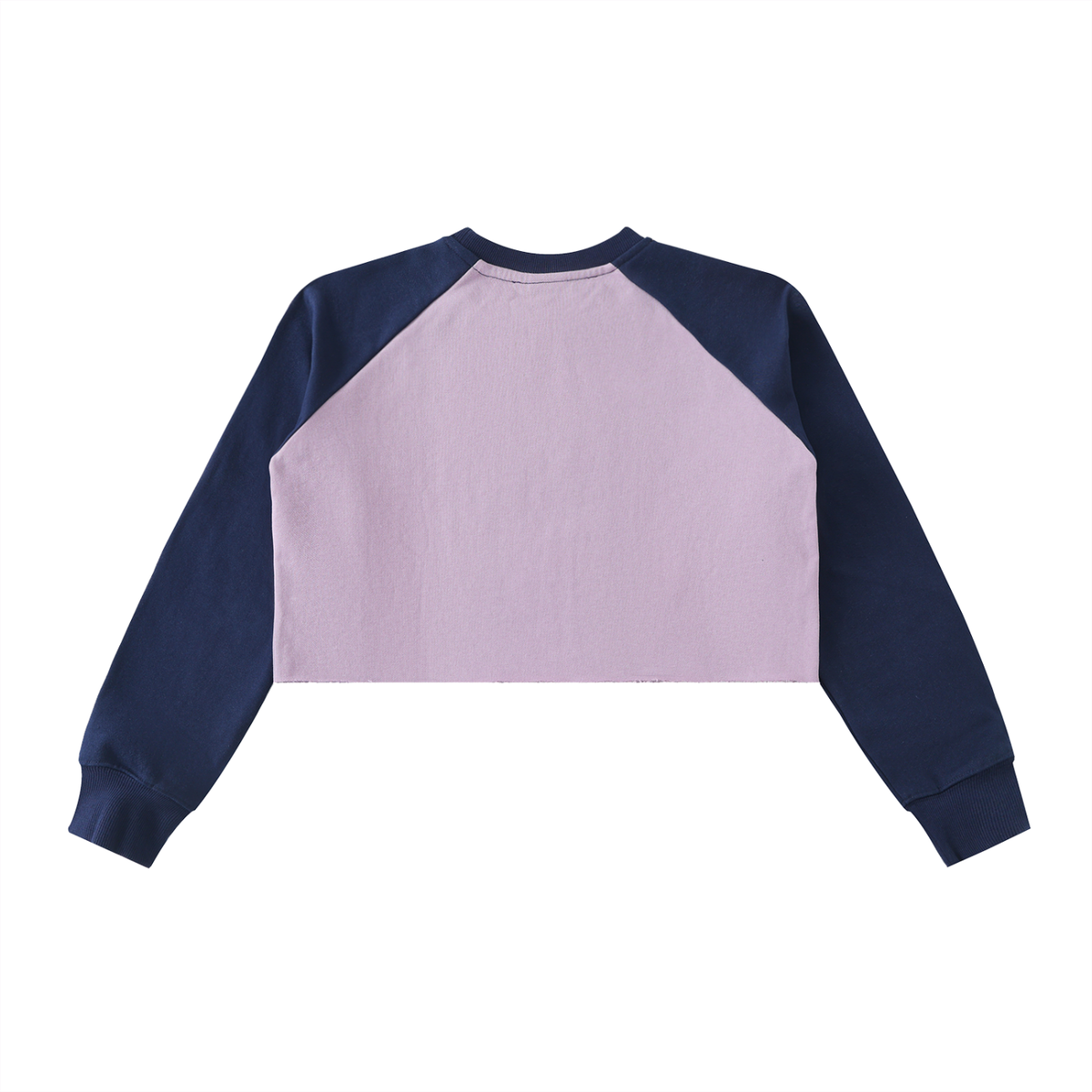 Color-Block Raglan Crop Sweatshirt
