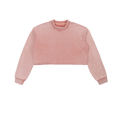 Snow Wash Raw-Edge Crop Sweatshirt