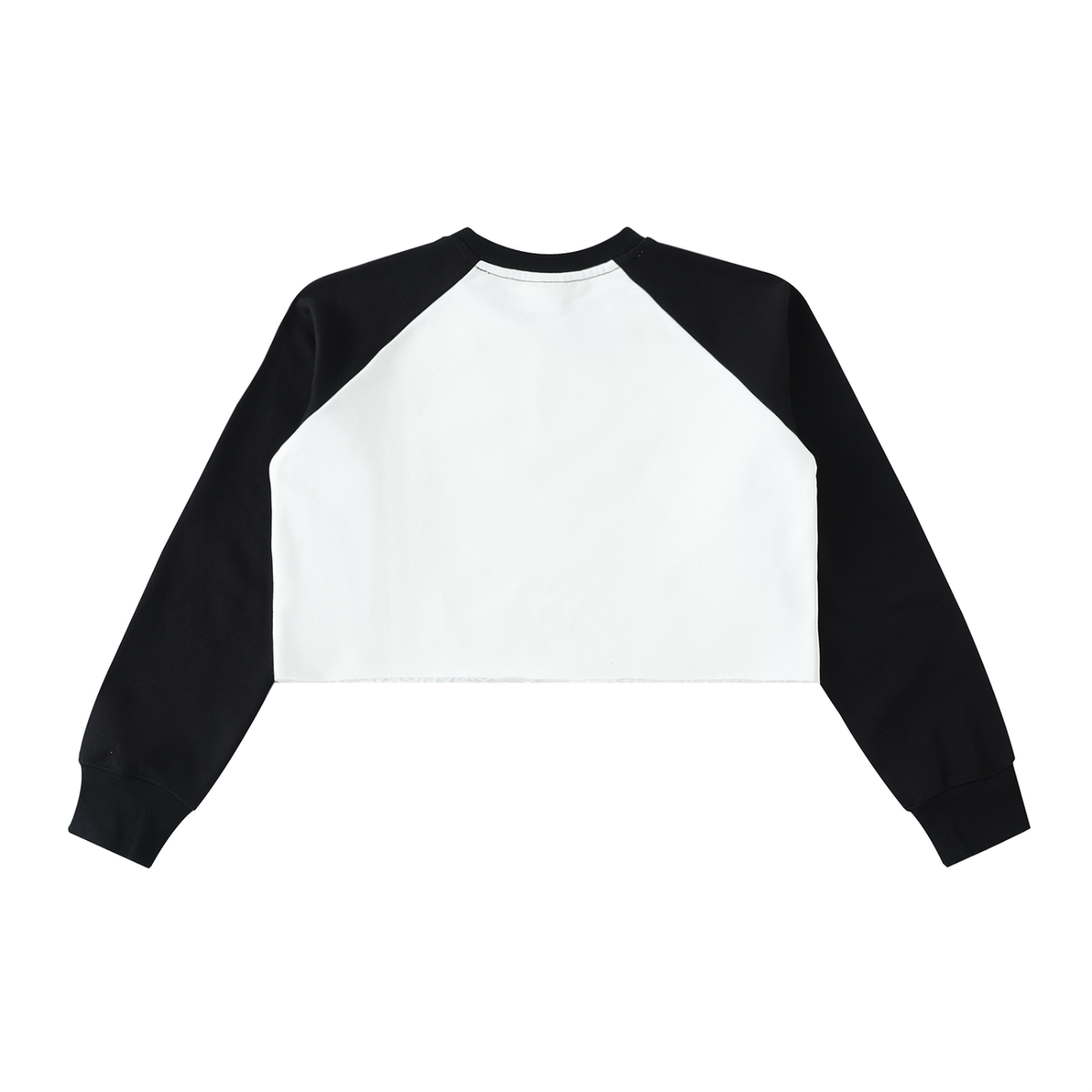 Color-Block Raglan Crop Sweatshirt